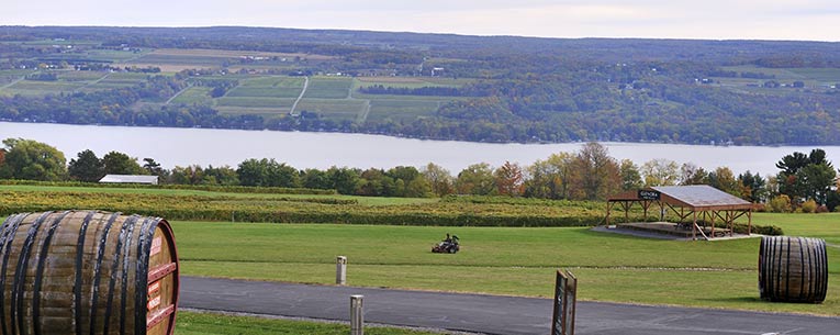 Allianz - Finger lakes