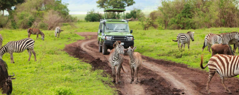 Allianz - Zebras and Car