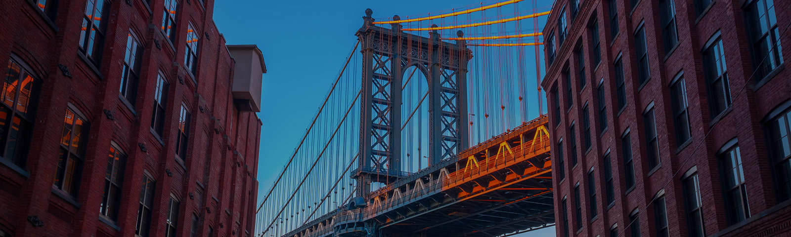 bridge in a city